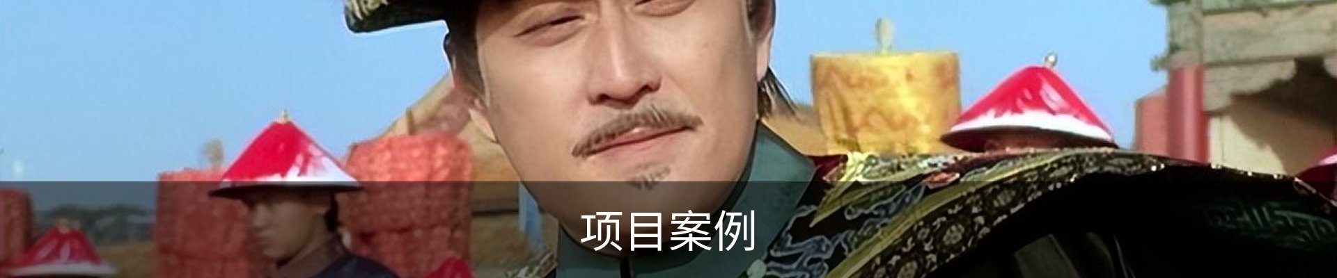 项目案例